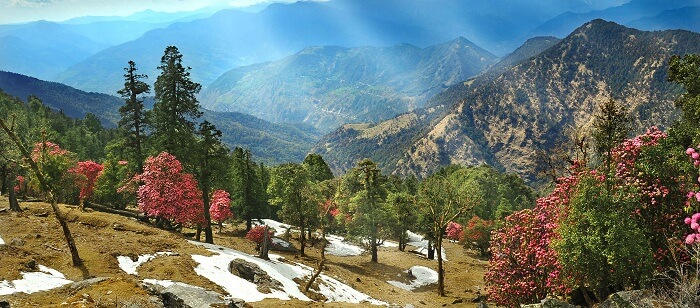 Soul Searching Uttarakhand